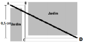Figura da pergunta 4